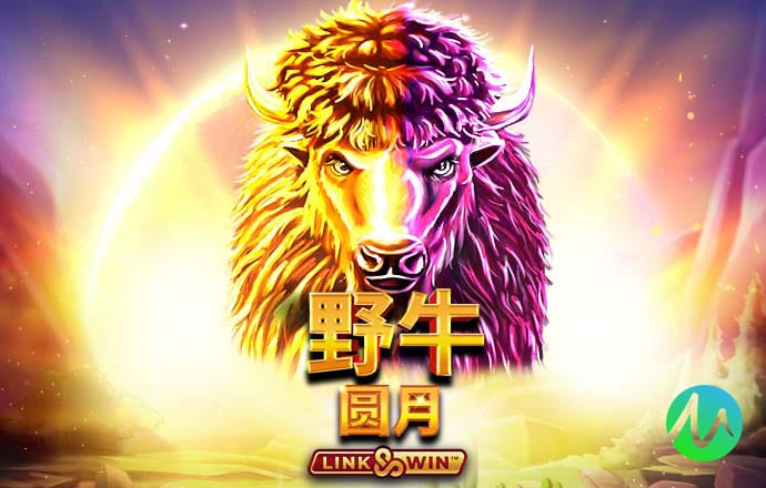 im体育登录